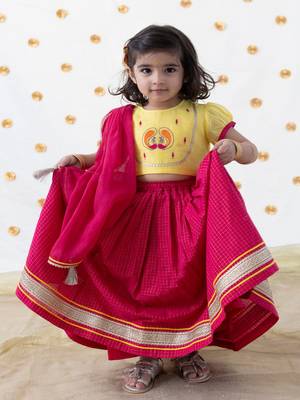 Pink embroidered chanderi silk  lehenga 4