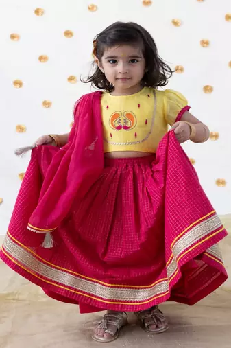 Pink embroidered chanderi silk  lehenga
