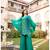 Aster peacock premium fusion co-ord set