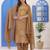 Dark Beige Embroidered Cotton Suit Set with Dupatta