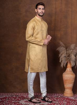 Beige dupion kurta churidar set for men with solid print 2