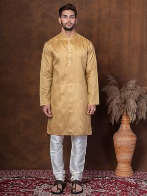 Beige dupion kurta for men with solid print 5