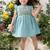 Blue embroidered cotton co ord set