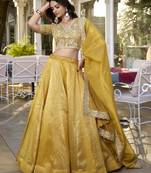 Golden embroidered Lehenga choli set