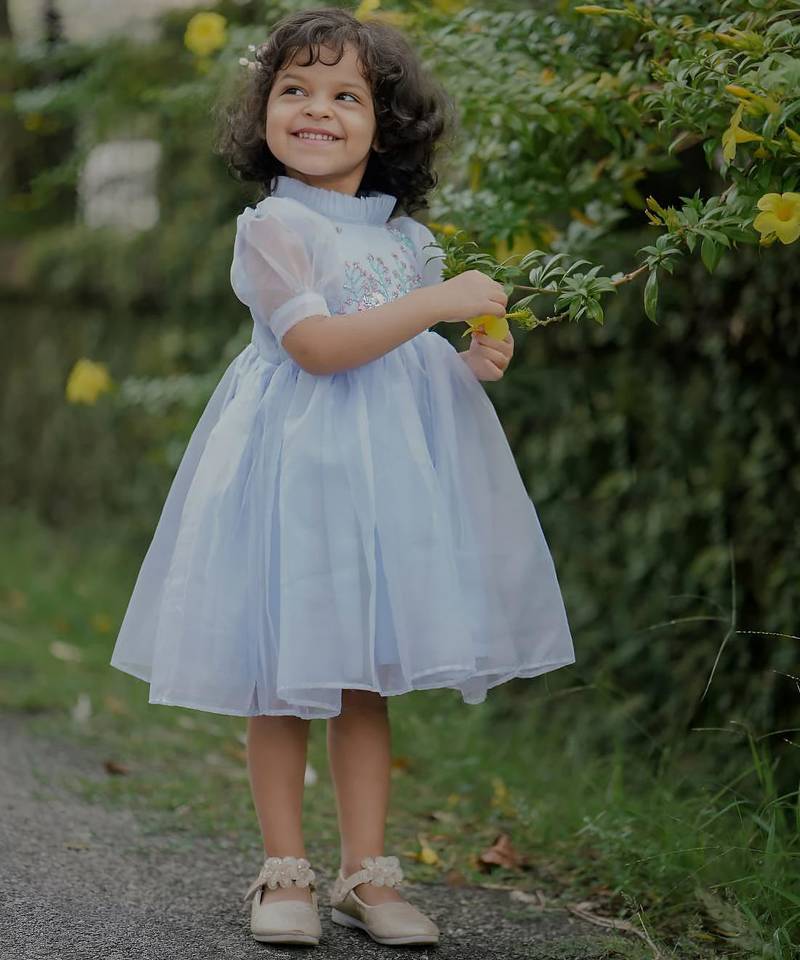 Powder blue
 organza embroidered flared frill frock for girls