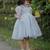 Powder blue
 organza embroidered flared frill frock for girls