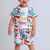 Multicolor abstract printed cotton blend co-ord set