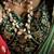 seagreen kanjivaram silk blend wedding saree