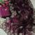 wine chiffon zari and sequin work saree with blouse