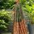 Green woven paithani silk blend saree with unstitched blouse