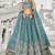 Sea green Golden Tissue Sequinse embroidery Lehenga choli with Dupatta