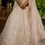 Nude Tissue Sequinse embroidery Lehenga choli with Dupatta