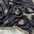 black heavy zari work chinon silk saree with fancy blouse