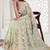 pista resham zarkan stone embroidery work net saree