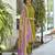 Vatican kurta with bottom chinon dupatta