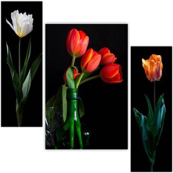 Set of 3 digital wall painting 2