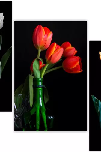Set of 3 digital wall painting