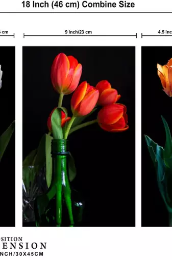 Set of 3 digital wall painting
