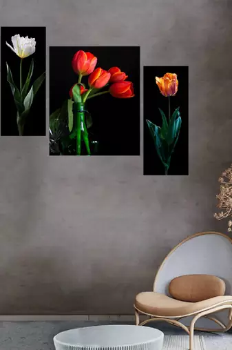 Set of 3 digital wall painting