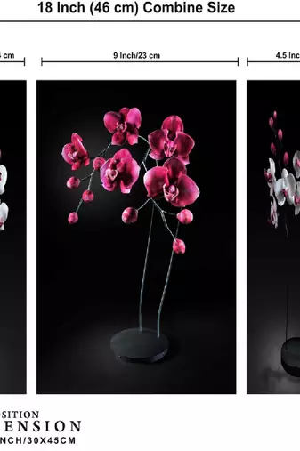 Set of 3 digital wall painting