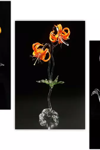 Set of 3 digital wall painting