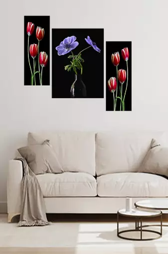 Set of 3 digital wall painting