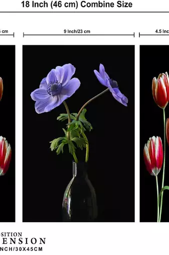 Set of 3 digital wall painting