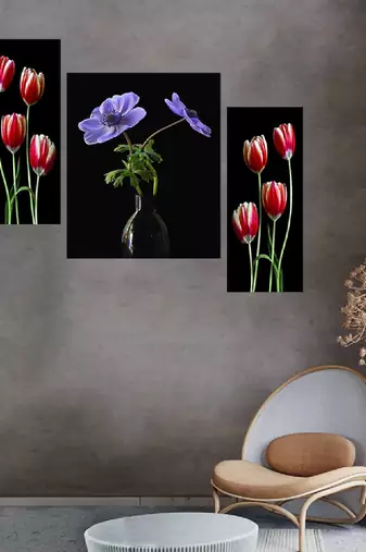 Set of 3 digital wall painting
