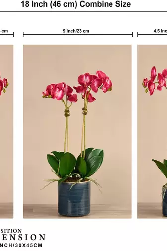 Set of 3 digital wall painting