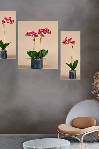 Set of 3 digital wall painting