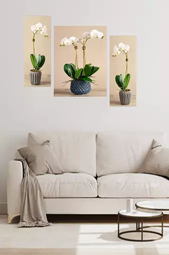 Set of 3 digital wall painting