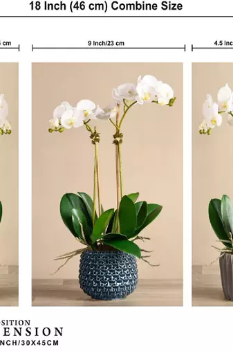 Set of 3 digital wall painting