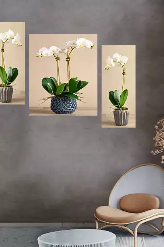 Set of 3 digital wall painting