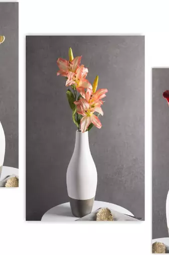 Set of 3 digital wall painting