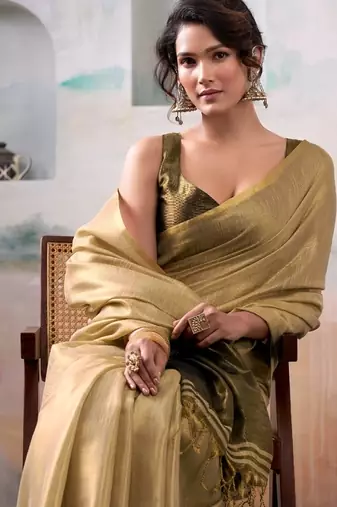 beige handloom tissue silk self woven plain saree