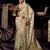 beige viscose tissue handworked pallu saree with embroidered blouse piece
