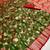 Green soft silk blend saree with zari weaving meenakari design