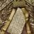 Women's olive banarasi cotton digital print & hand work unstitched dress material