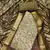 Women's olive banarasi cotton digital print & hand work unstitched dress material