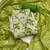 Women's parrot green banarasi cotton print handwork unstitched dress material