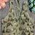 Pista Green Deep Neck Partywear Sequence Blouse