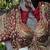Maroon Color Italian Silk Readymade Designer Blouse with Sequin & Codding Work