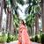 Orange cotton saree with blouse