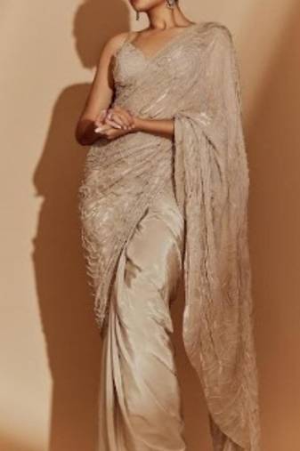 Chikoo embroidered blouse with saree