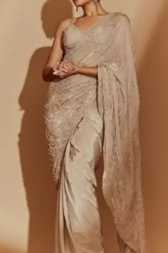 Chikoo embroidered blouse with saree