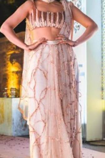 Pinkish Nude Embroidered Saree