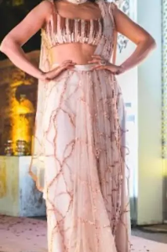 Pinkish Nude Embroidered Saree