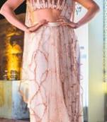 Pinkish Nude Embroidered Saree