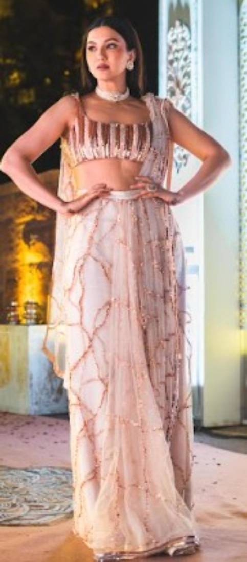 Pinkish Nude Embroidered Saree