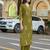 Floral Embroidered V-Neck Thread Work Straight Kurta With Palazzos